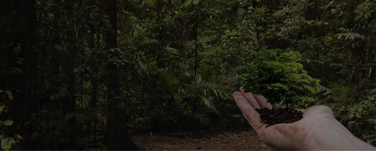 Programa Socio Ambiental