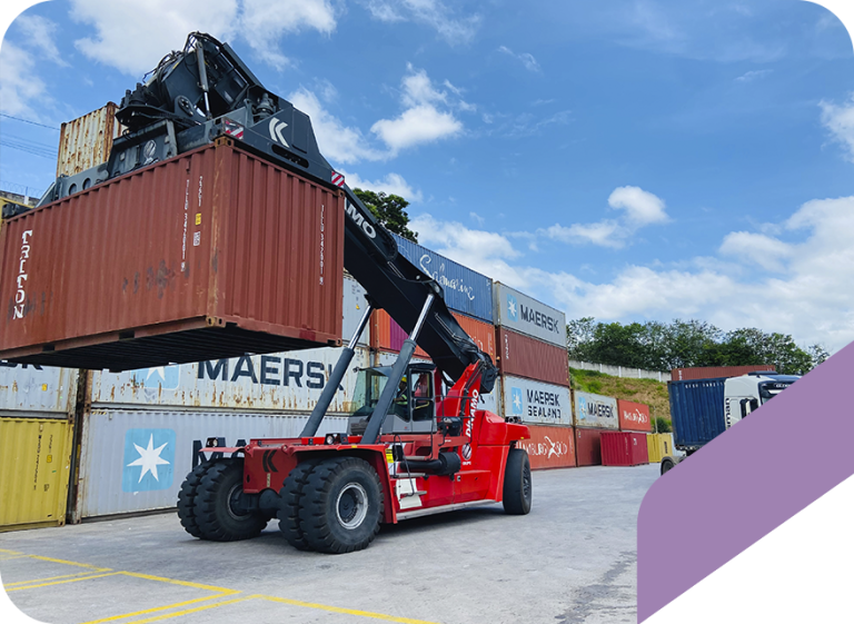 GRUPO D&Iacute;NAMO 01